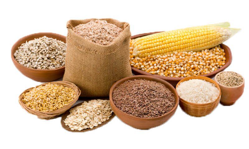 مواد اولیه خوراک دام